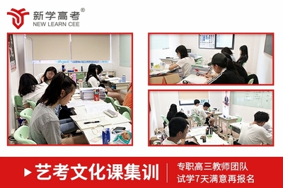 艺术生文化课提升新路径 科技赋能精准培训，高效与文化双赢