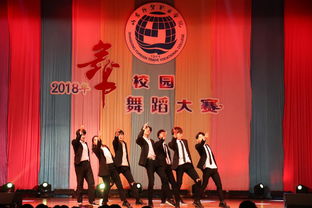 第十五届大学生文化艺术节“舞动山外”舞蹈大赛圆满落幕